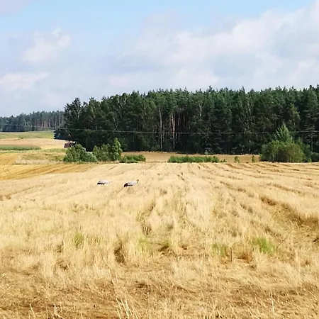 בית נופש Poniatowka