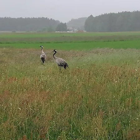 בית נופש Poniatowka *