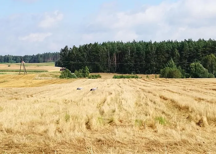 Dom wakacyjny Poniatówka