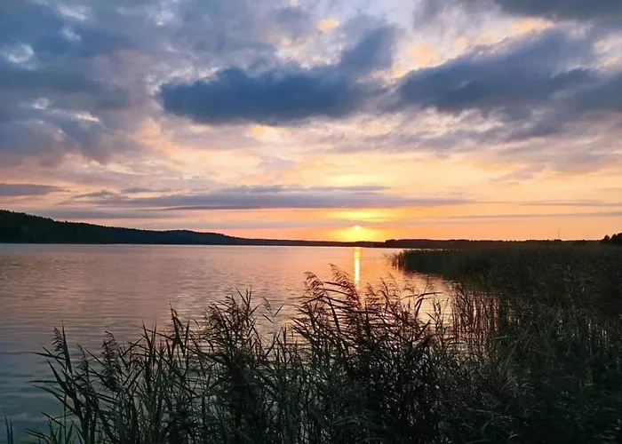 Poniatówka Dabrowa (Koscierzyna)